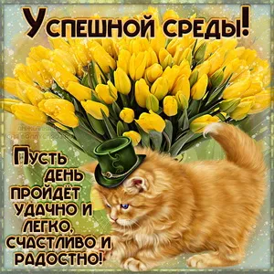 Открытка Доброе утро среда - Открытка с котом и тюльпанами | Красивая открытка #3
