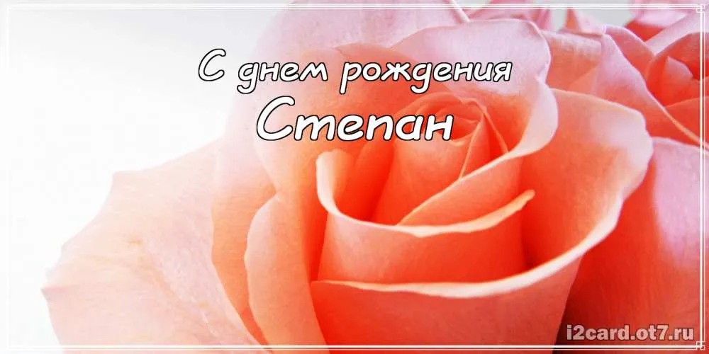 Открытка Открытки с именем Степан - Открытка с розой: Поздравления с днем рождения | Красивая открытка #100