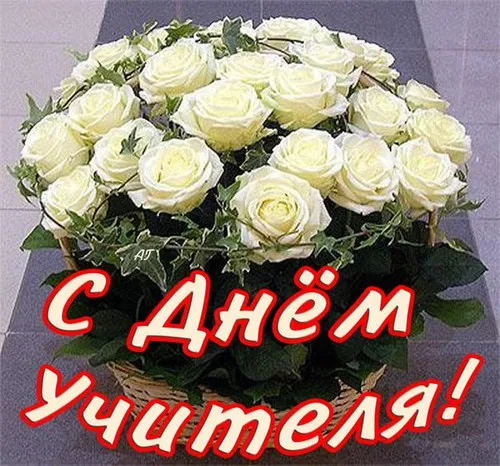 Открытка С белыми розами - Букет белых роз на открытке | Красивая открытка #40