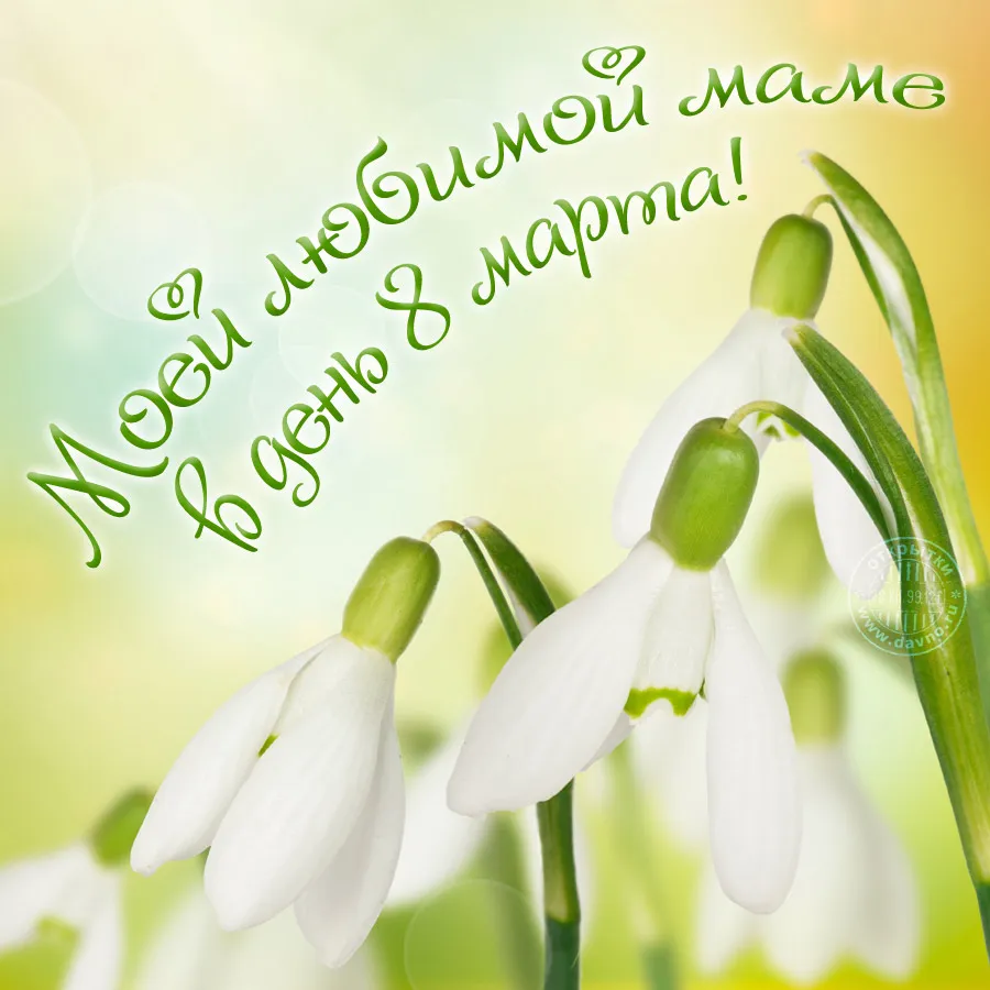Открытка 8 марта - Открытка с подснежниками - 8 марта  С днем мамы | Красивая открытка #39