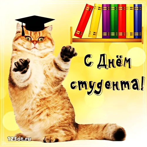 Открытка открытки на день студента  - С Днём знаний! Открытка с котом в колпаке | Красивая открытка #92