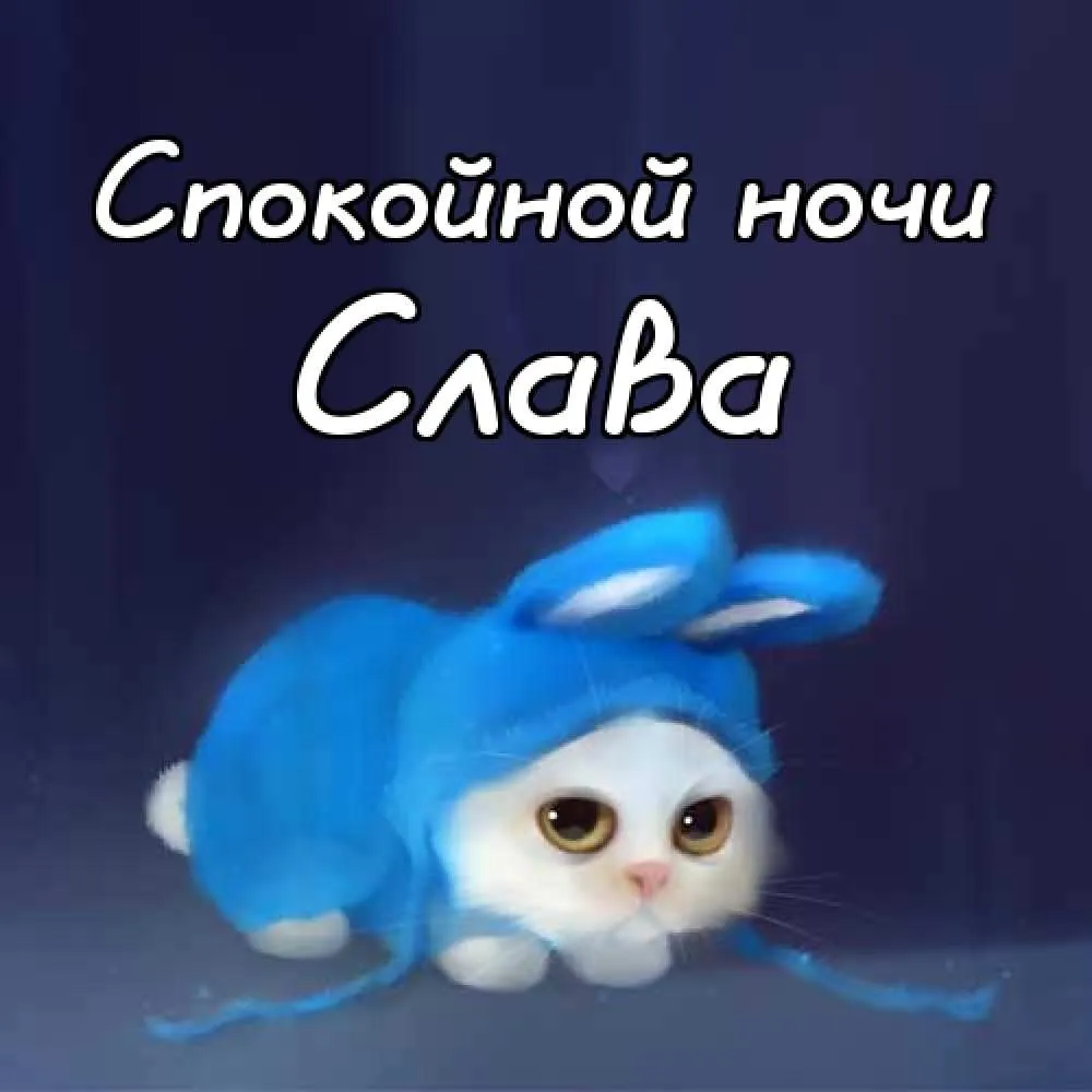 Открытка открытки с именем Вячеслав - Котенок с голубым хвостом - открытка | Красивая открытка #277
