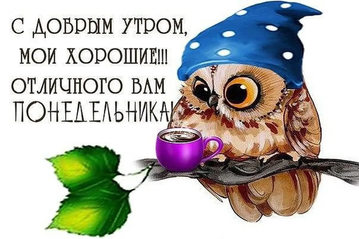 Открытка Доброе утро понедельник - Сова с чашкой кофе: Открытка с добрым утром | Красивая открытка #23