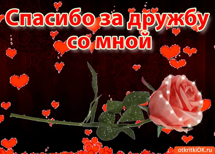 Открытка О дружбе - Открытка с розой и сердечками | Красивая открытка #39