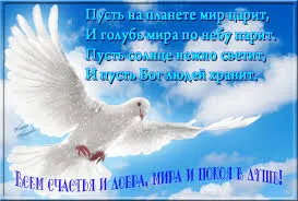 Открытка Открытки с днем мира - Белый голубь на фоне голубого неба: открытка | Красивая открытка #19