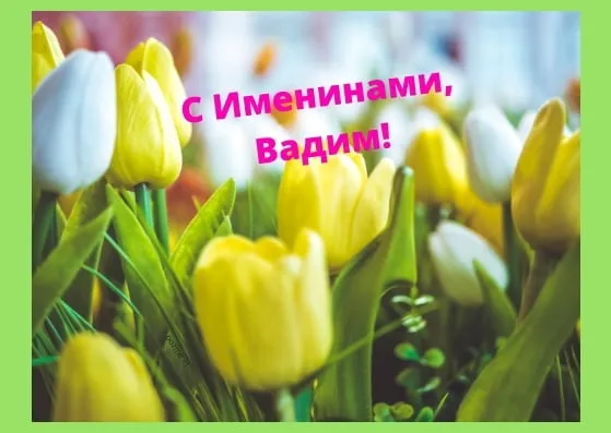 Открытка открытки с именем Вадим - Открытка с тюльпанами: яркие цветы для поздравлений | Красивая открытка #223