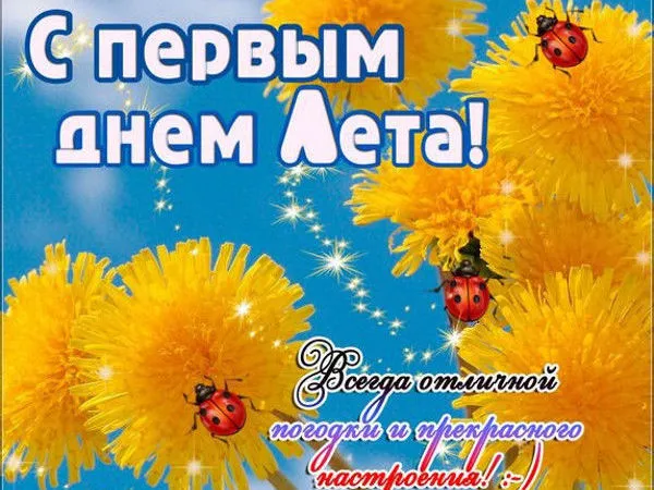 Открытка С первым днём лета - Открытка с цветами и божьей коровкой  С Днем Рождения! | Красивая открытка #10