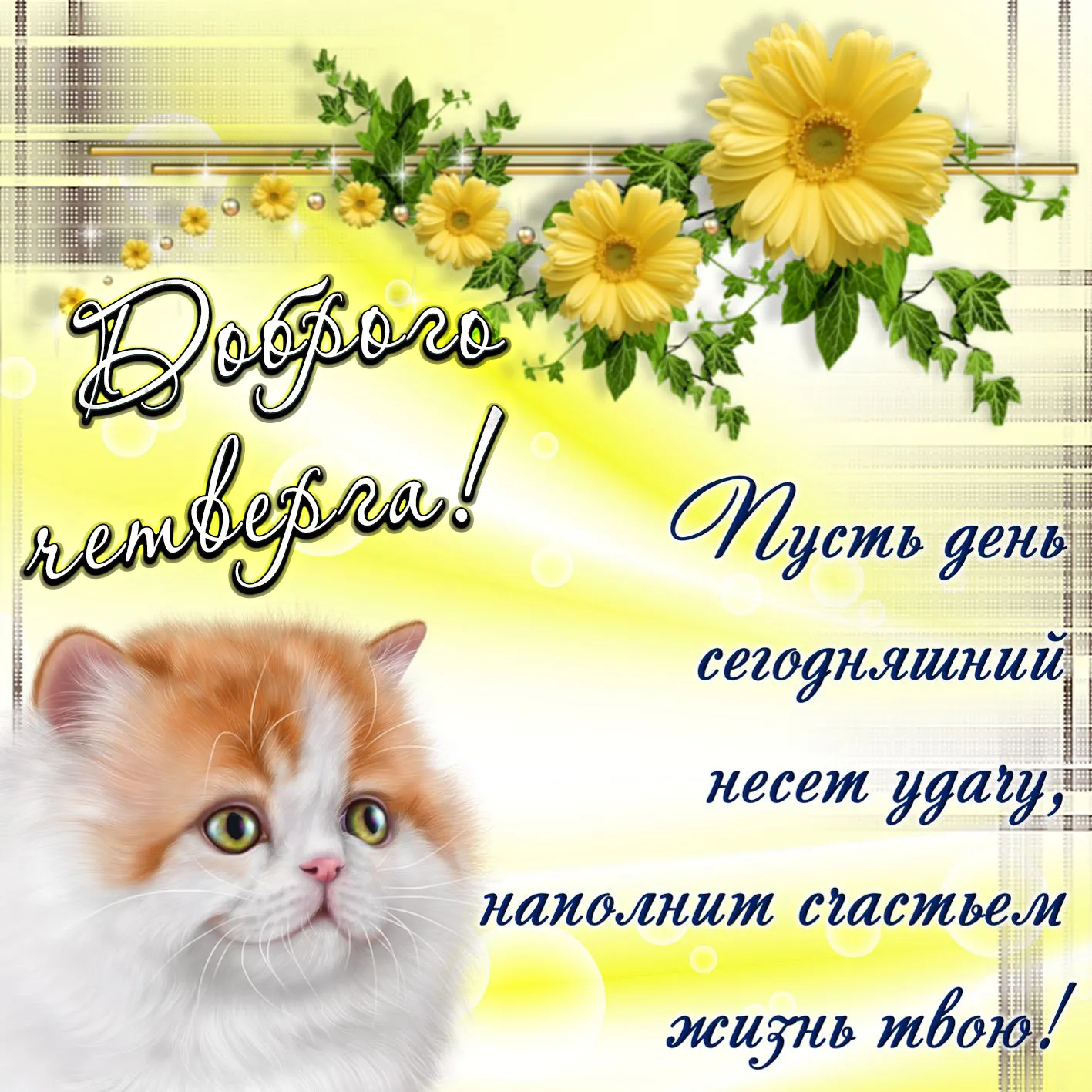 Открытка Открытки на четверг - Открытка с котенком и цветами: Доброго дня! | Красивая открытка #47