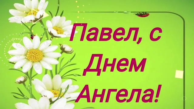 Открытка Открытки с именем Павел  - Открытка с ромашками и надписью "С Днем Ангела!" | Красивая открытка #270