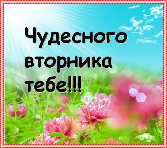 Открытка Удачного вторника - Открытка с цветами и облаками | Красивая открытка #19