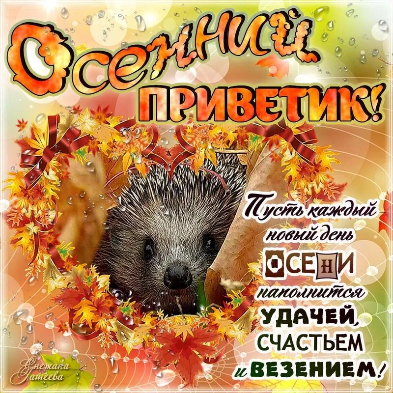 Открытка осенний привет - Осень! Пусть каждый день радует и дарит счастье! | Красивая открытка #8