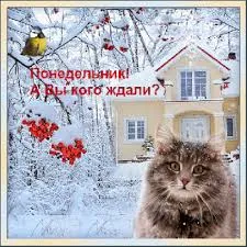 Открытка Открытки на понедельник - Зимний пейзаж с домом и птицей  открытка | Красивая открытка #191