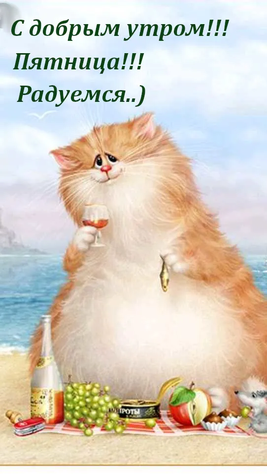 Открытка Доброе утро пятница - Котик на пикнике: открытка с милым котом | Красивая открытка #3