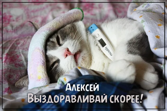Открытка открытки с именем Алексей - Больной котенок: Открытка с милым питомцем | Красивая открытка #125
