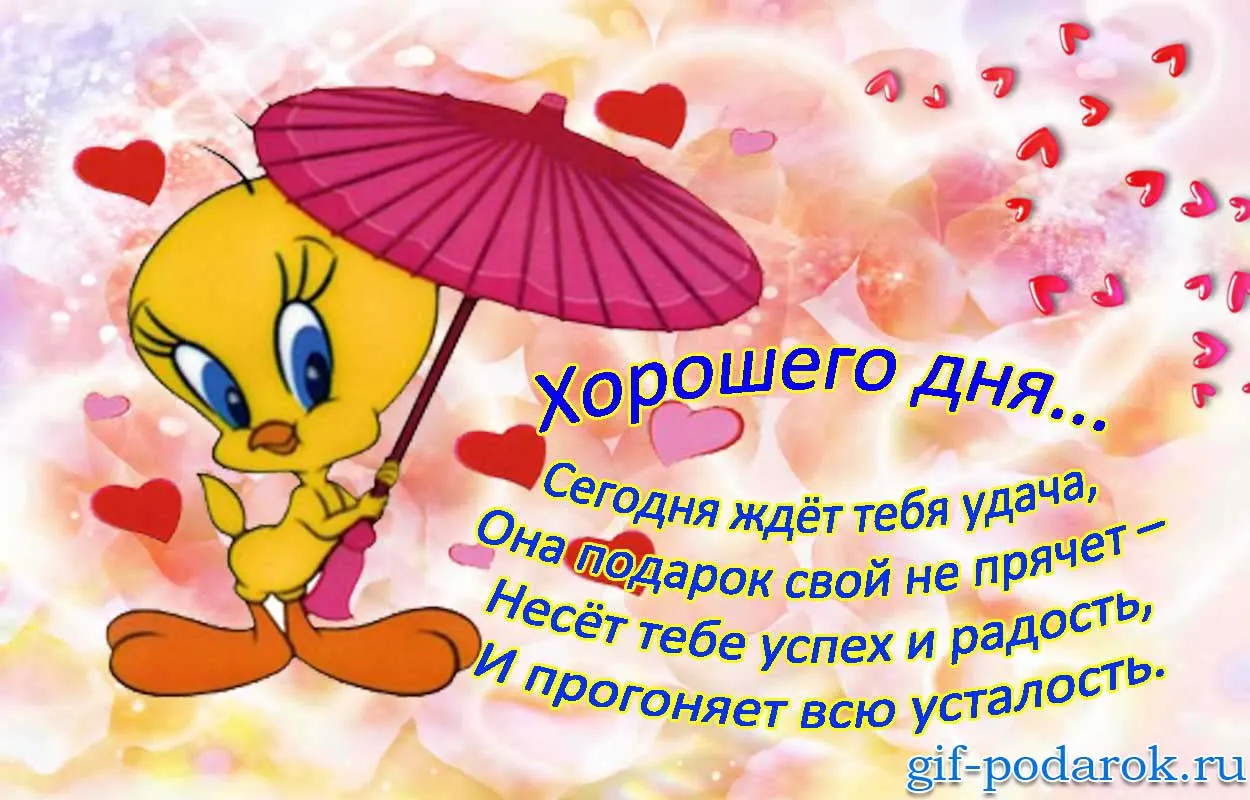 Открытка добрый день - Открытка с Твити: С Днём рождения! | Красивая открытка #136