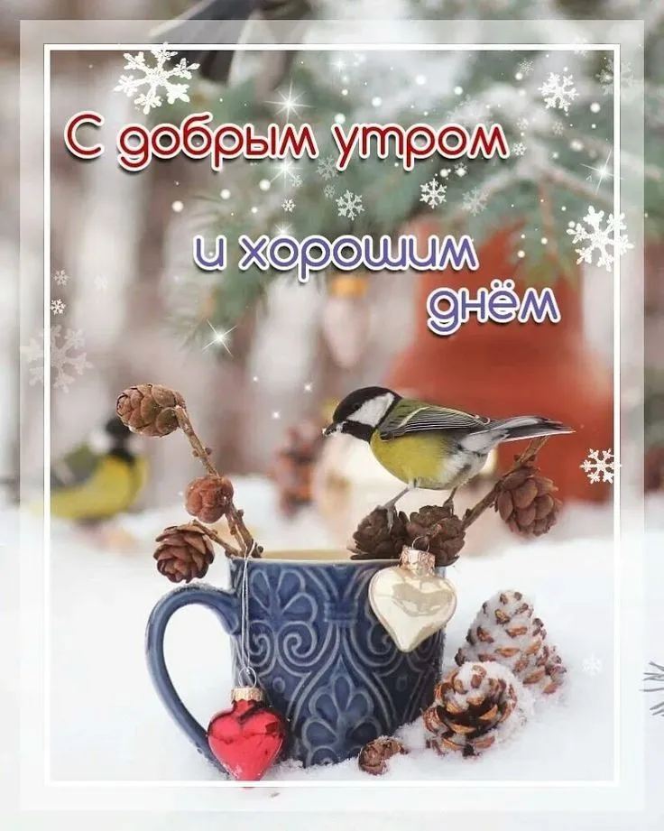 Открытка Открытки доброе зимнее утро - Зимняя открытка с птицей и шишками | Красивая открытка #20