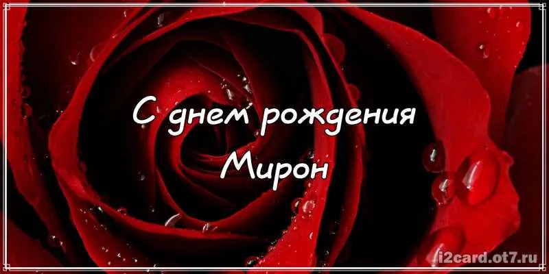 Открытка Открытки с именем Мирон  - Открытка с красной розой: С днем рождения! | Красивая открытка #79