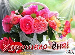Открытка Открытки хорошего дня - Открытка с розовыми цветами в корзине | Красивая открытка #160