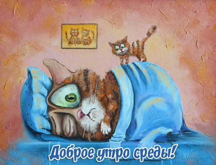 Открытка Среда - Забавная открытка с котом: Доброе утро! | Красивая открытка #8