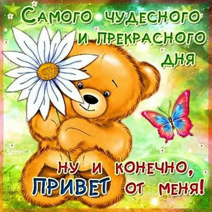 Открытка прекрасного дня! - Медвежонок и бабочки - открытка с днем рождения | Красивая открытка #6