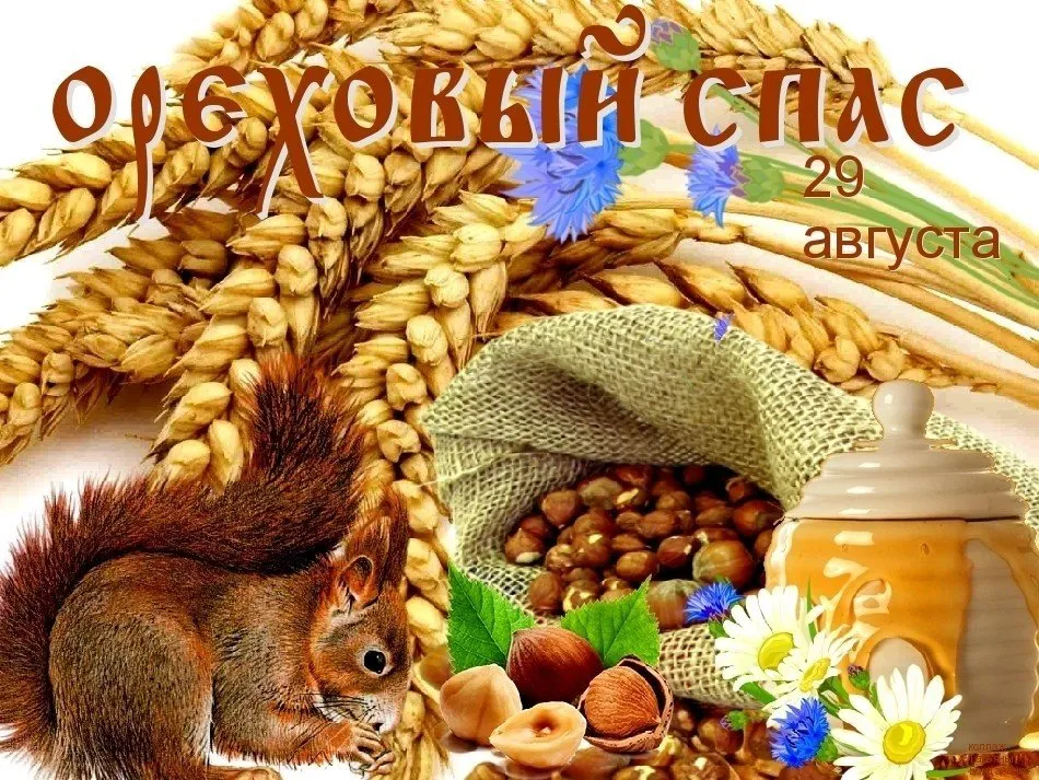 Открытка Ореховый спас. - Открытка с белкой, орехами, пшеном и медом | Красивая открытка #62