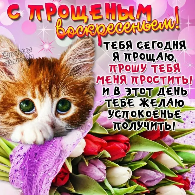 Открытка Прощённое воскресенье - Котенок на фоне цветов - открытка с днем рождения | Красивая открытка #100