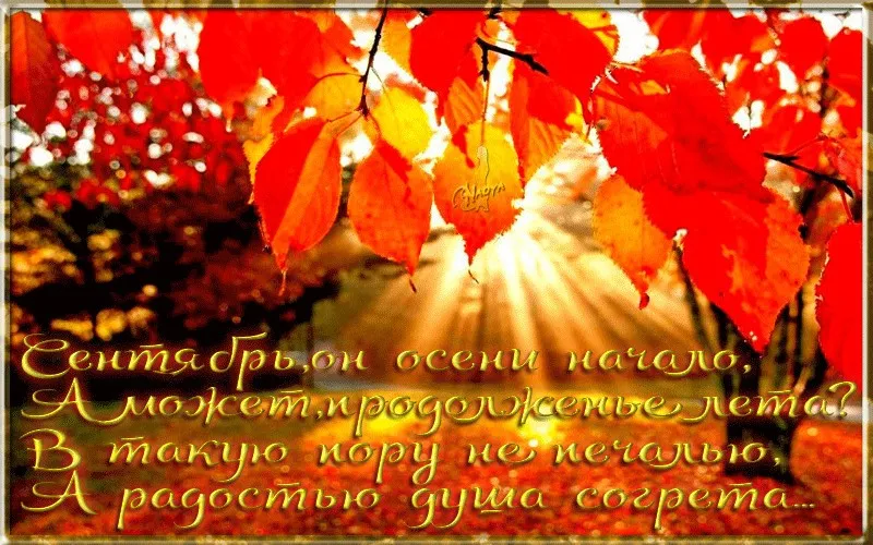 Открытка Первый день осени - Осенние листья: яркая открытка с желто-красными листьями | Красивая открытка #38