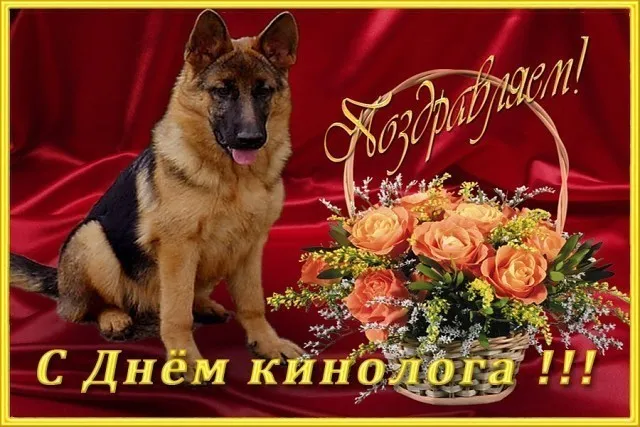 Открытка День кинолога - Открытка с немецкой овчаркой и цветами | Красивая открытка #18