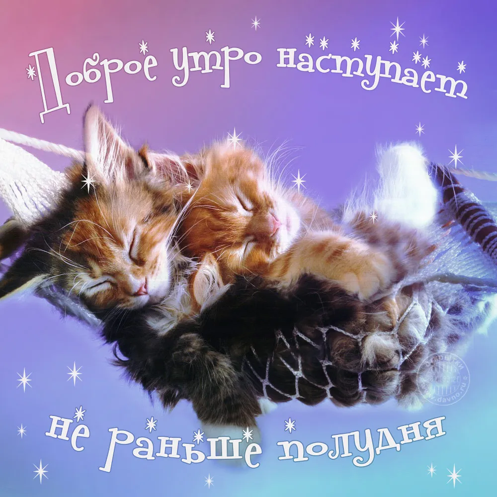 Открытка Доброе утро - Две кошки обнимаются на фоне звездного неба. | Красивая открытка #330