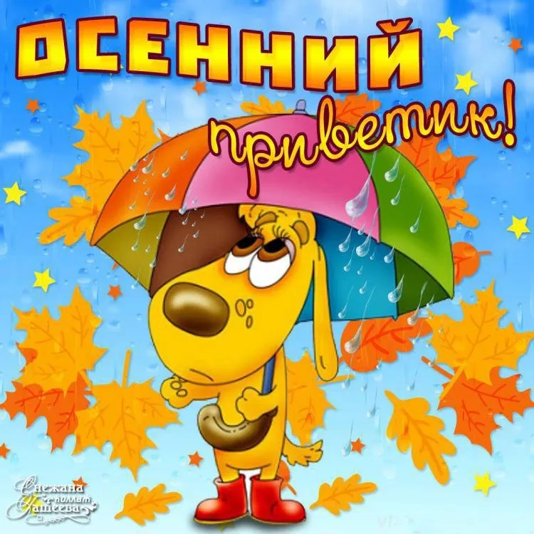 Открытка Осенний приветик - Открытка с щенком под зонтом на фоне осенней листвы | Красивая открытка #6