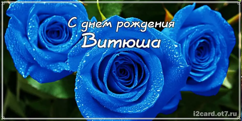 Открытка открытки с именем Виктор - Открытка с голубыми розами  С днем рождения | Красивая открытка #51