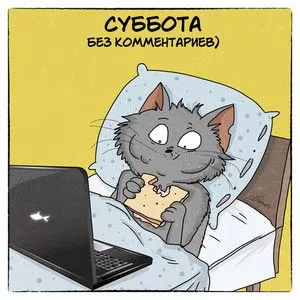 Открытка Открытки на субботу - Смешная открытка: Кот с бутербродом и ноутбуком | Красивая открытка #161