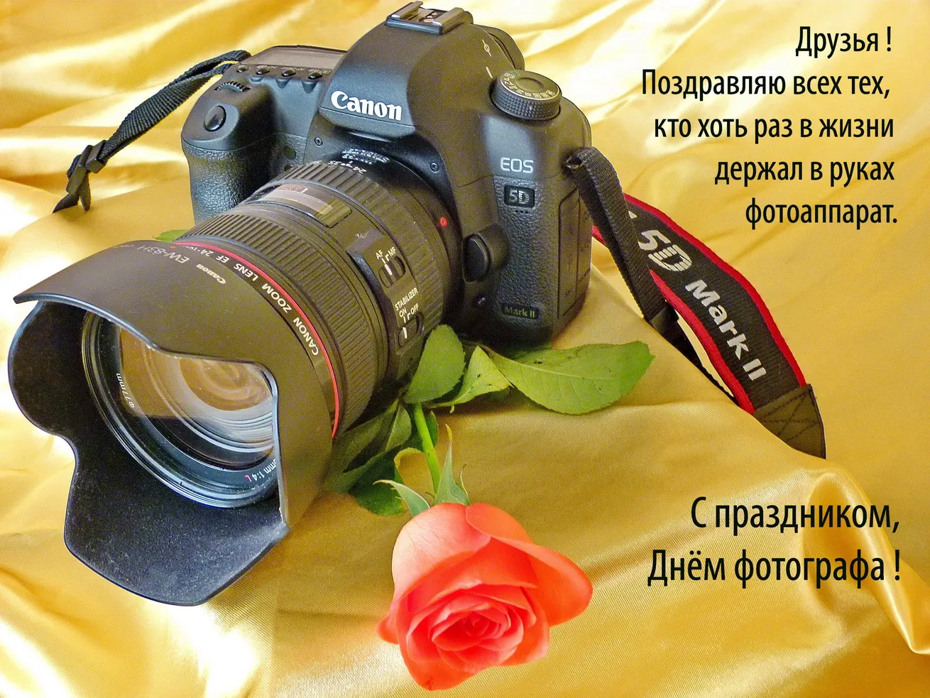 Открытка День фотографа - Фотоаппарат и цветы: поздравительная открытка | Красивая открытка #36