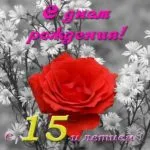 Открытка Открытки на 15 лет - Красная роза на фоне белых цветов | Красивая открытка #132