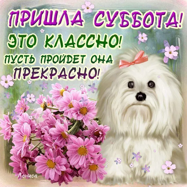 Открытка С субботой - Собака с бантом и цветы. Открытка с щенком. | Красивая открытка #19