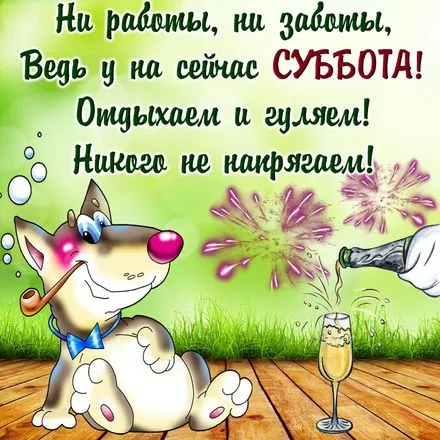Открытка суббота - Собака с бокалом шампанского и фейерверком | Красивая открытка #2