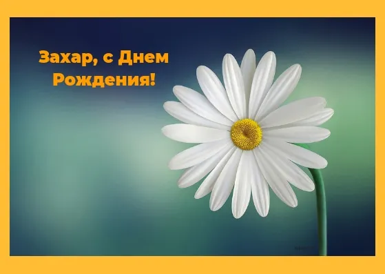 Открытка открытки с именем Захар - Белая ромашка на голубом фоне | Красивая открытка #181
