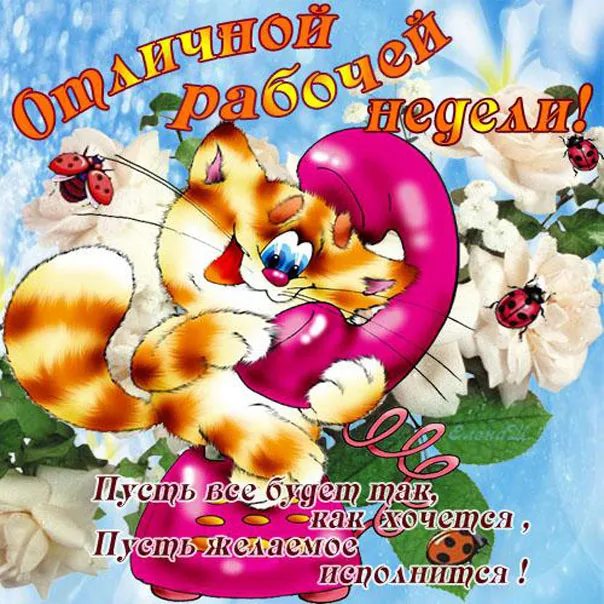 Открытка Хорошей недели - Открытка с котенком и бабочками | Красивая открытка #66
