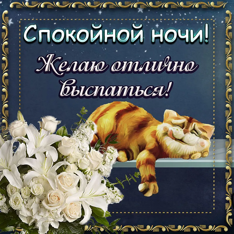 Открытка Спокойной ночи - Симпатичный котёнок: открытка "Спокойной ночи!" | Красивая открытка #116