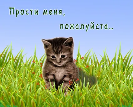 Открытка Прости меня - Котёнок на траве: открытка с котиком для праздника | Красивая открытка #10