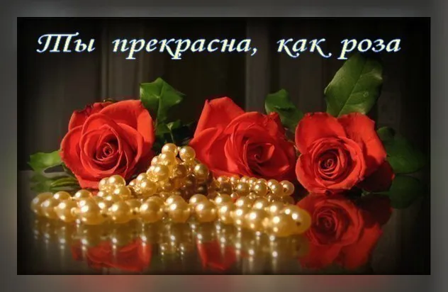 Открытка Ты прекрасна - Красивые красные розы с жемчугом: открытка | Красивая открытка #26