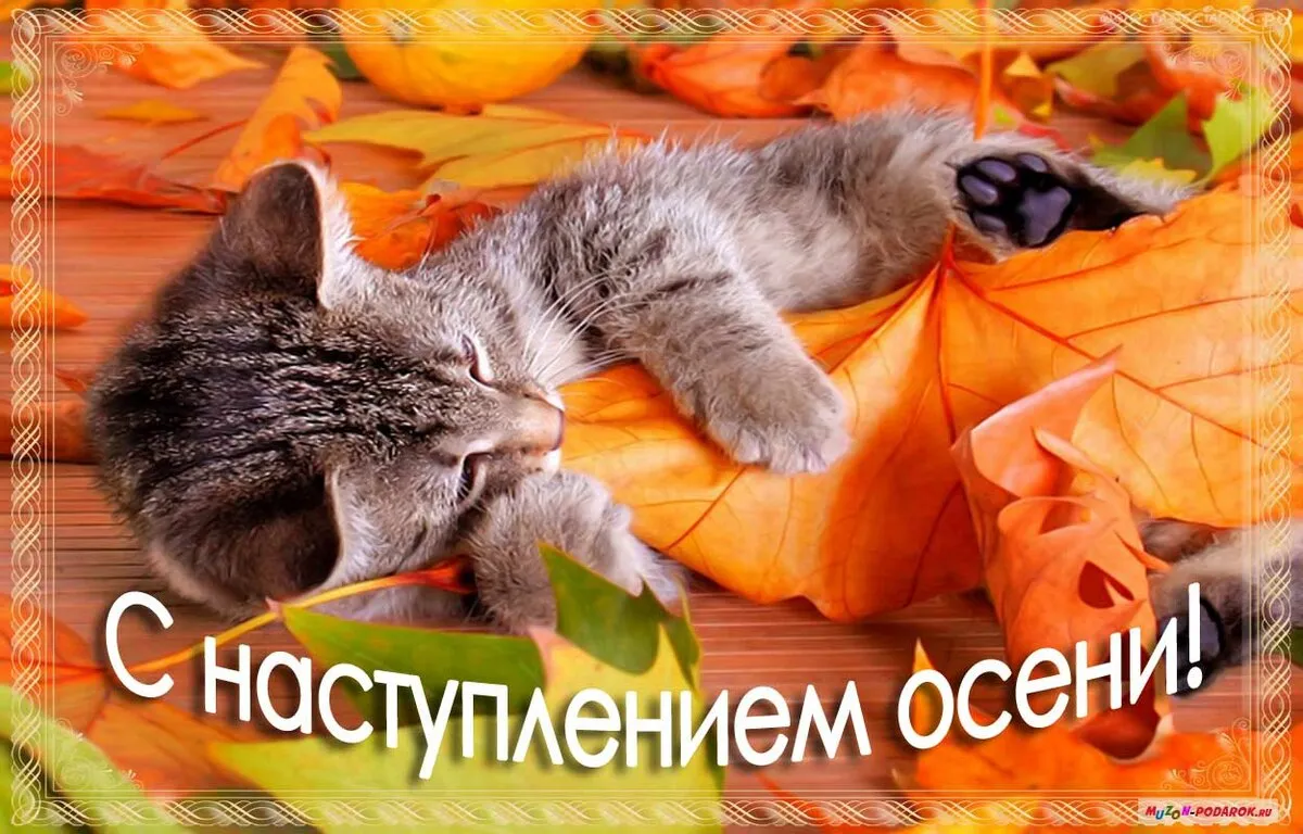 Открытка С первым днём осени - С наступлением осени! | Красивая открытка #19