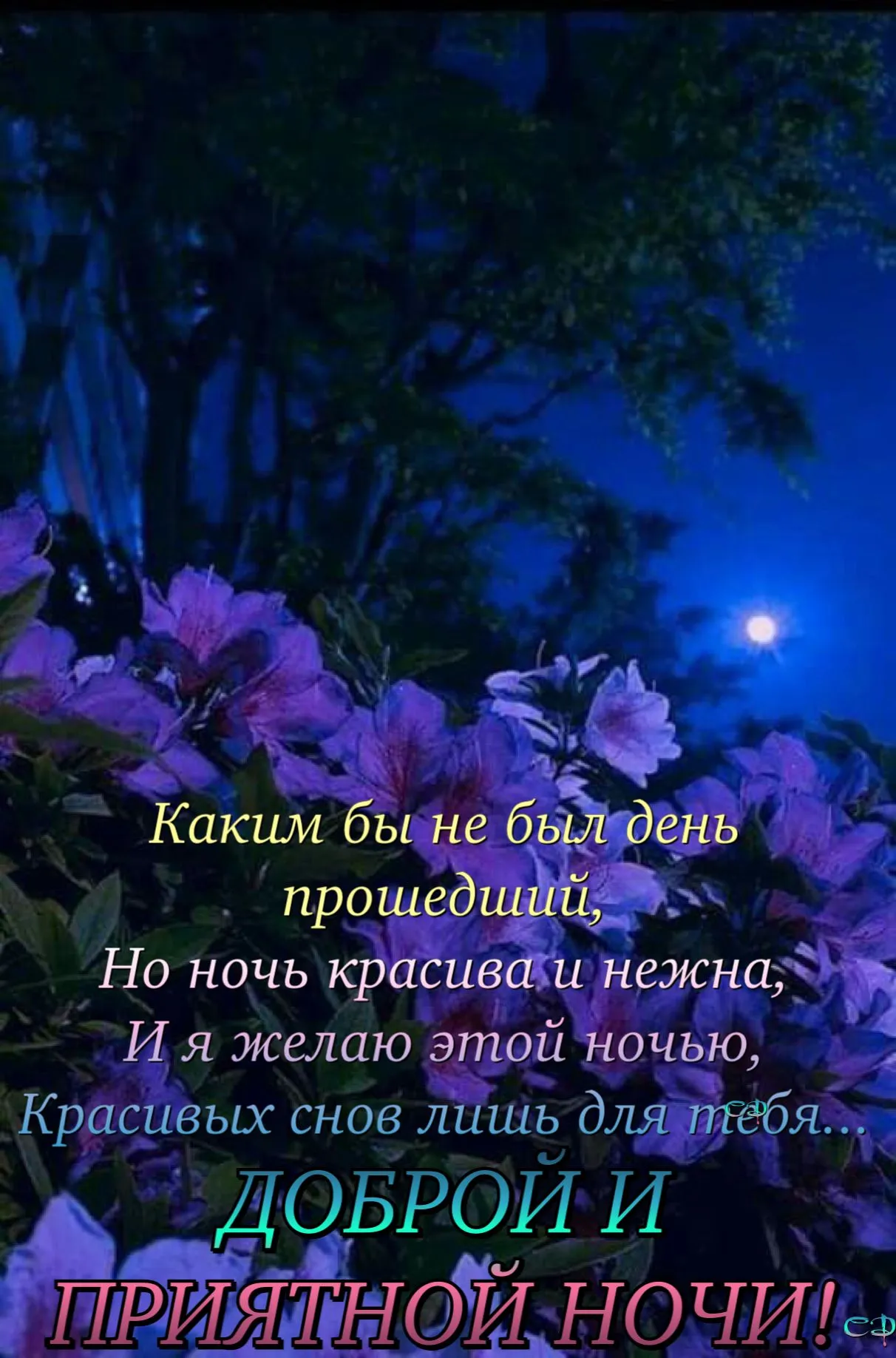 Открытка Доброй ночи - Доброй ночи: Красивые цветы и поздравления | Красивая открытка #4