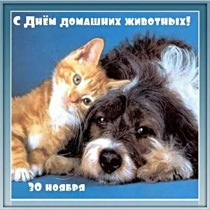 Открытка Открытки на Всемирный день домашних животных - Открытка с котенком и щенком  С Днём рождения! | Красивая открытка #7