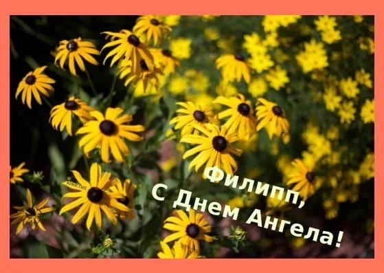 Открытка Открытки с именем Филлип - Полевые цветы: яркая открытка с Днем ангела | Красивая открытка #55