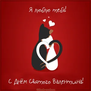Открытка 14 февраля день всех влюбленных - Открытка с котиками на День Святого Валентина | Красивая открытка #11