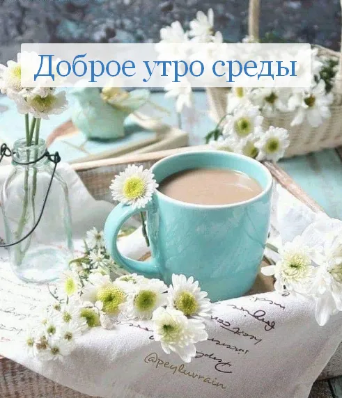 Открытка Доброе утро среда - Утро с цветами: нежность и спокойствие | Красивая открытка #28