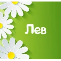 Открытка Открытки с именем Лев  - Открытка с ромашками на зелёном фоне | Красивая открытка #225