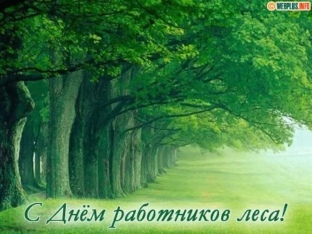 Открытка С днём работника леса - С Днём работников леса: открытка с зелёной аллеей | Красивая открытка #5