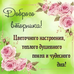 Открытка Удачного вторника - Розовые розы на открытке: С Днём рождения! | Красивая открытка #23
